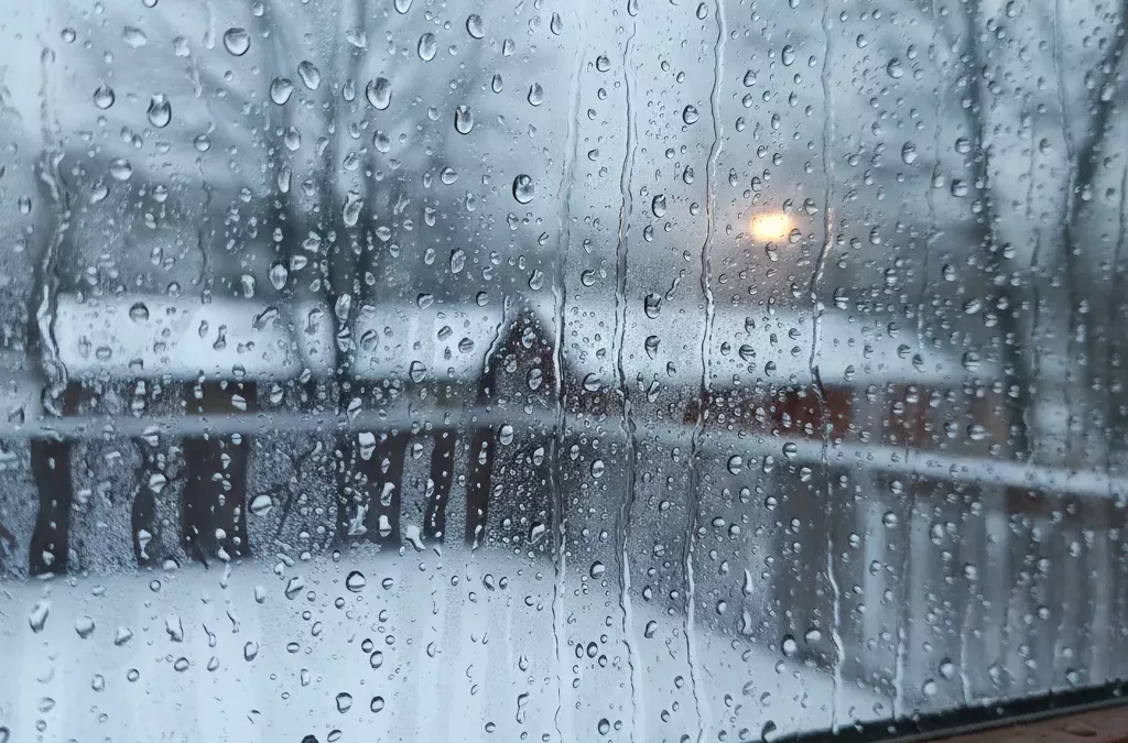 Preventing Condensation and Mould in Social Housing: Causes, Risks, and Solutions 