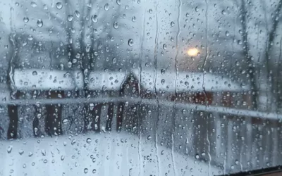 Preventing Condensation and Mould in Social Housing: Causes, Risks, and Solutions